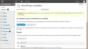 How To Update WordPress